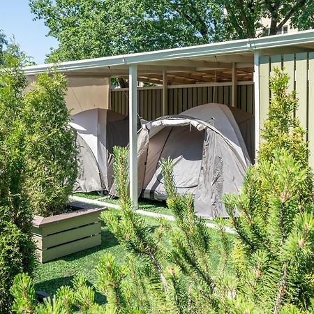 Garden Camping Tallinn Eksteriør bilde
