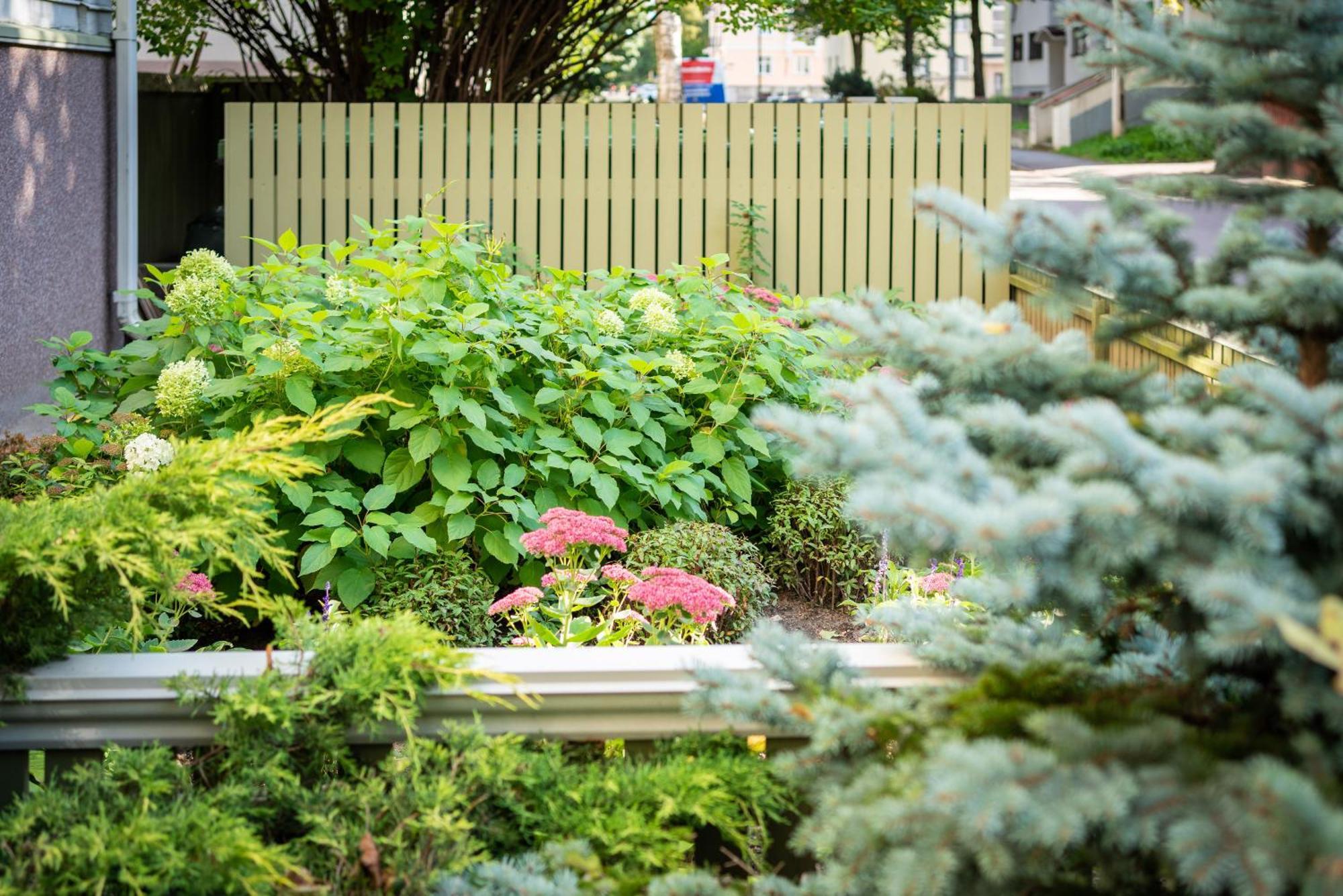Garden Camping Tallinn Eksteriør bilde