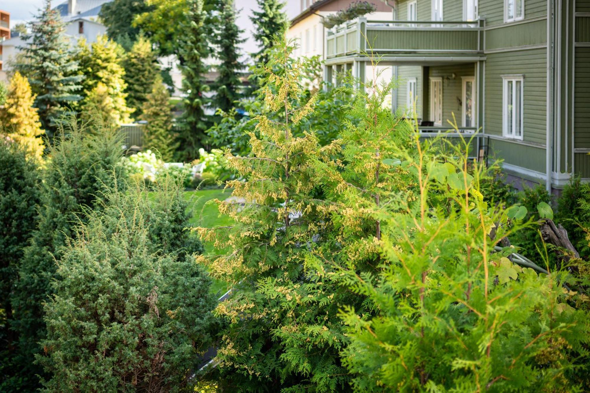 Garden Camping Tallinn Eksteriør bilde