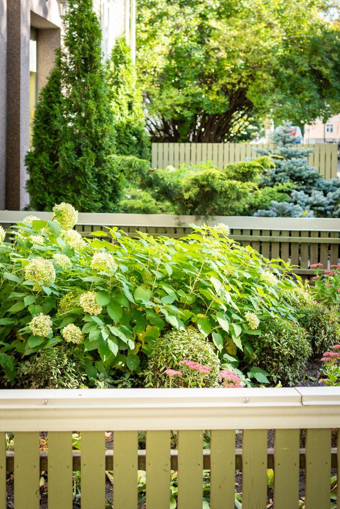 Garden Camping Tallinn Eksteriør bilde